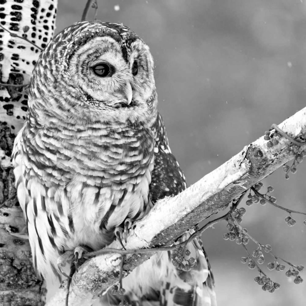 Similar wall art painting: 140213