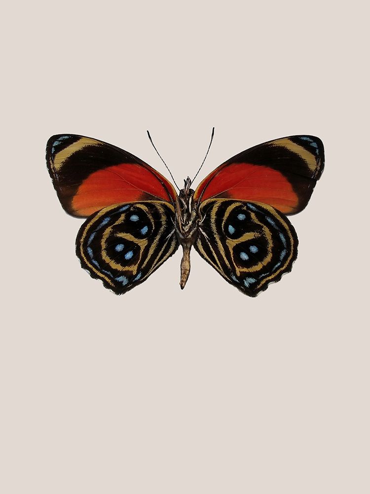 Similar wall art painting: 197342