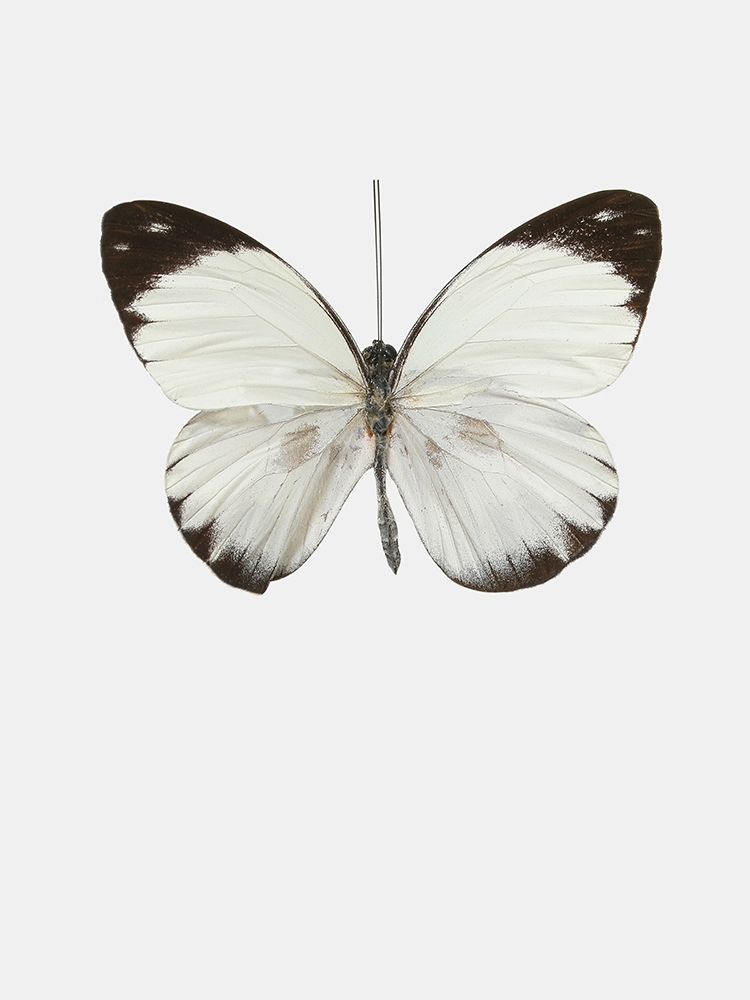 Similar wall art painting: 197344