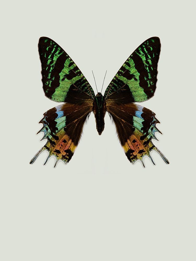 Similar wall art painting: 197353