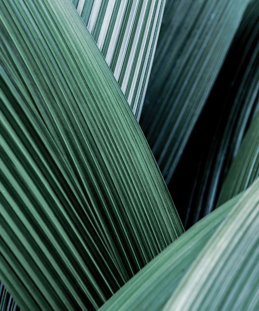 Similar wall art painting: 197355