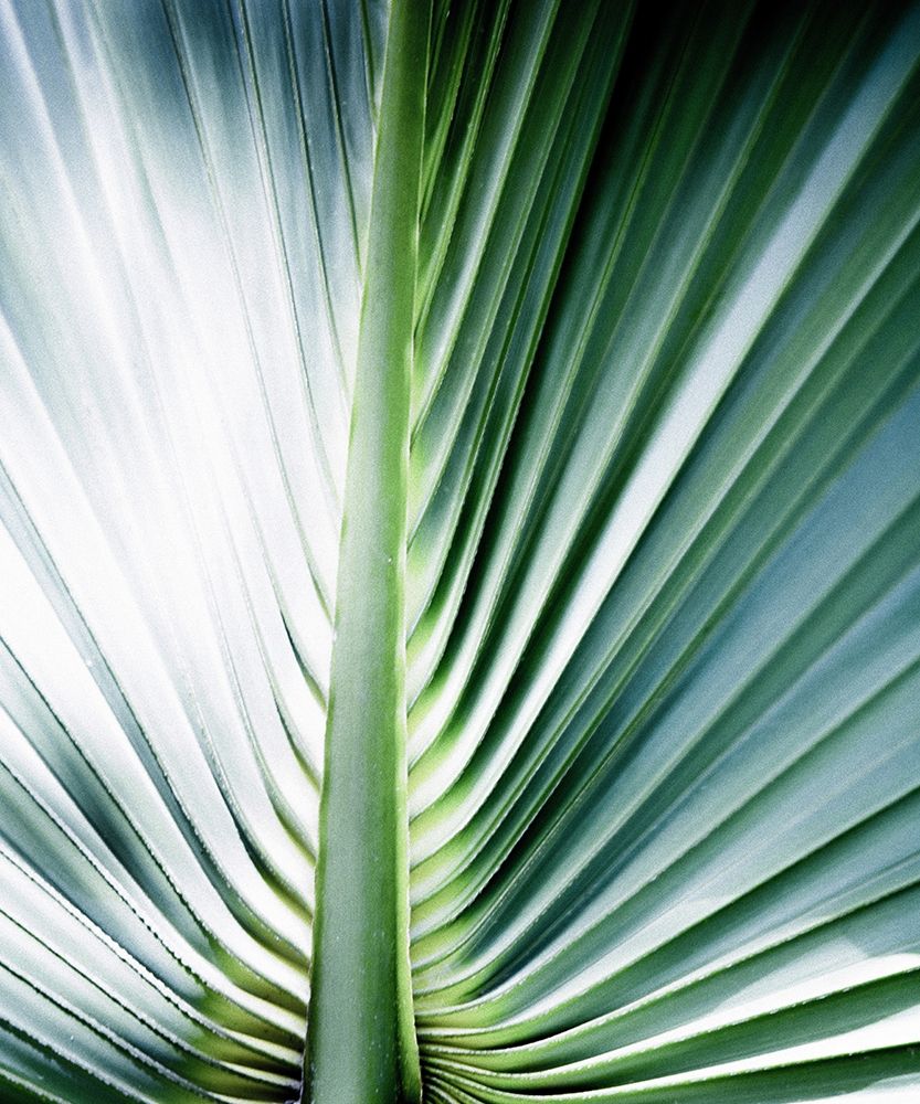 Similar wall art painting: 197357