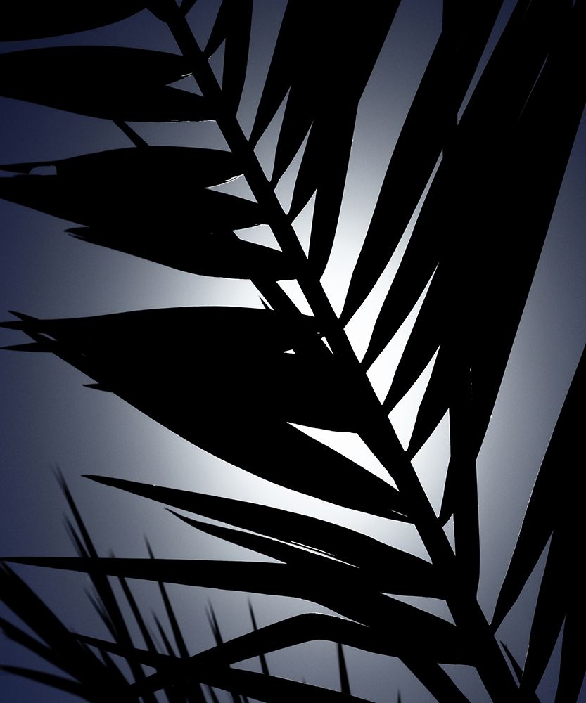 Similar wall art painting: 197358