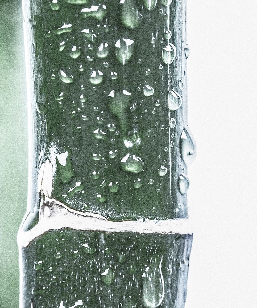 Similar wall art painting: 197360