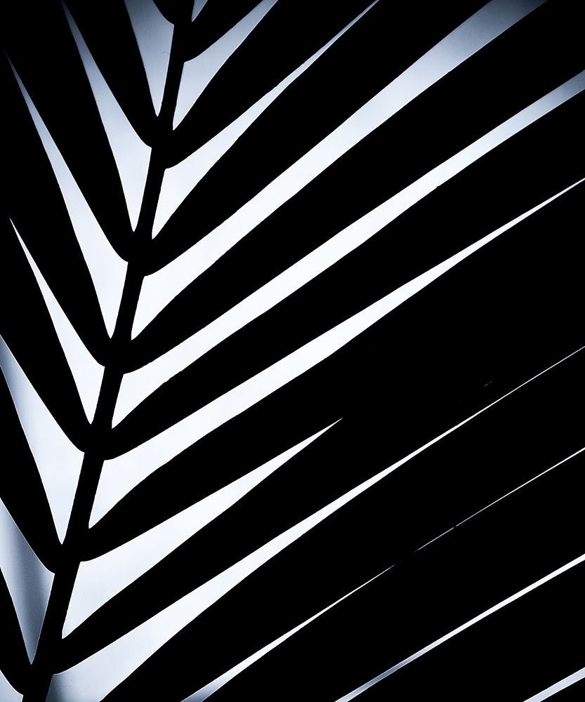 Similar wall art painting: 197361