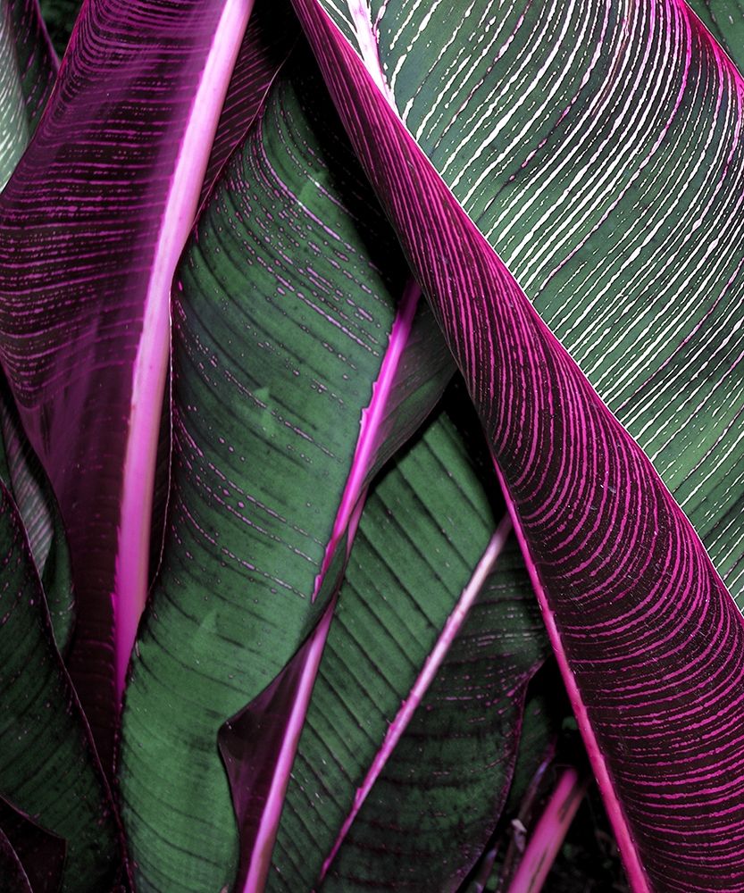 Similar wall art painting: 197362