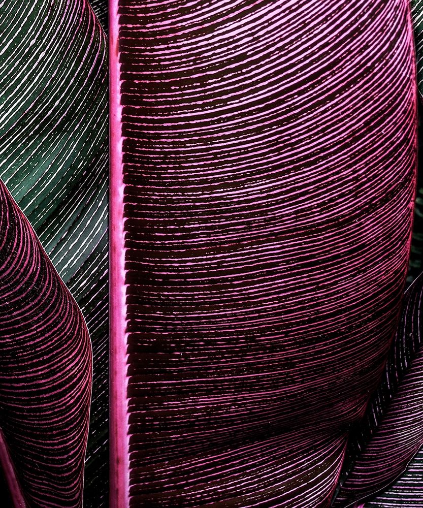 Similar wall art painting: 197363