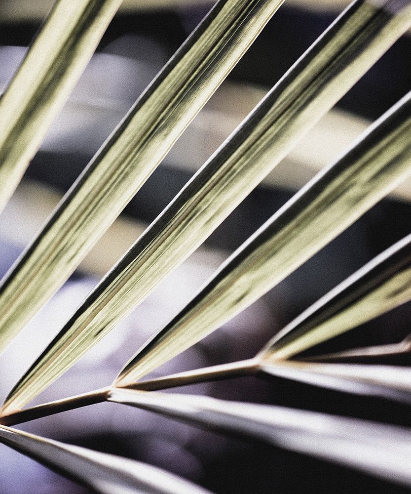 Similar wall art painting: 197359