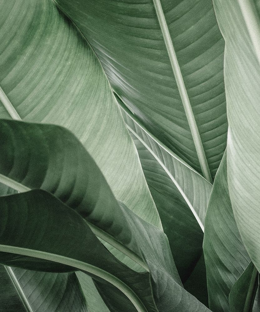 Similar wall art painting: 197364