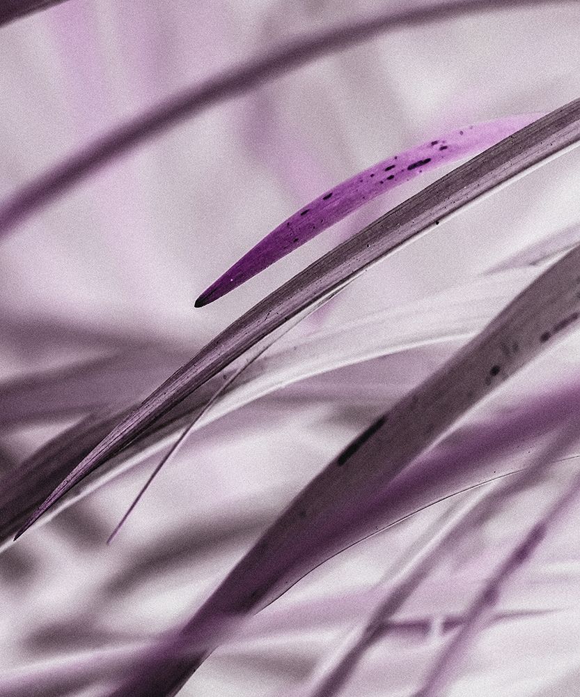 Similar wall art painting: 197365