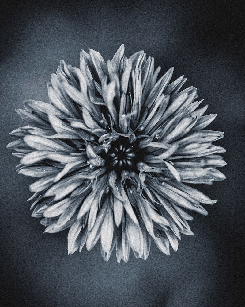 Similar wall art painting: 197346