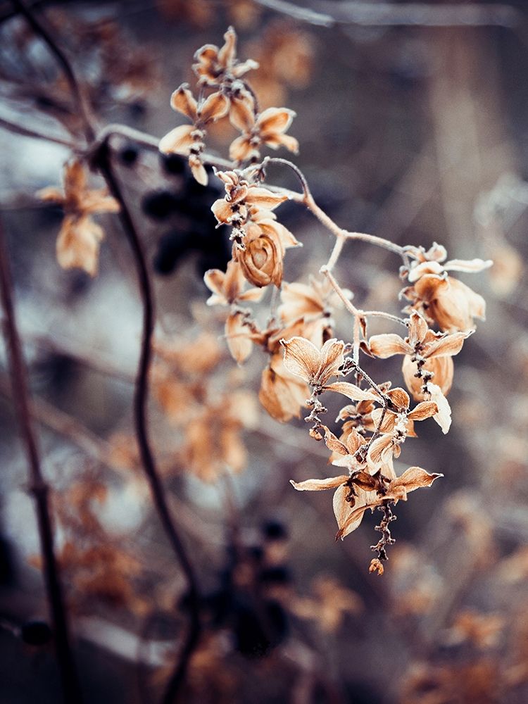 Similar wall art painting: 197347