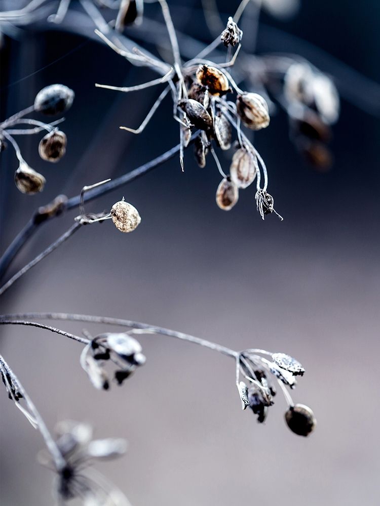 Similar wall art painting: 197348