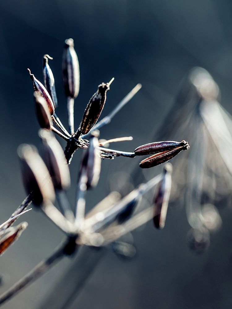 Similar wall art painting: 197349