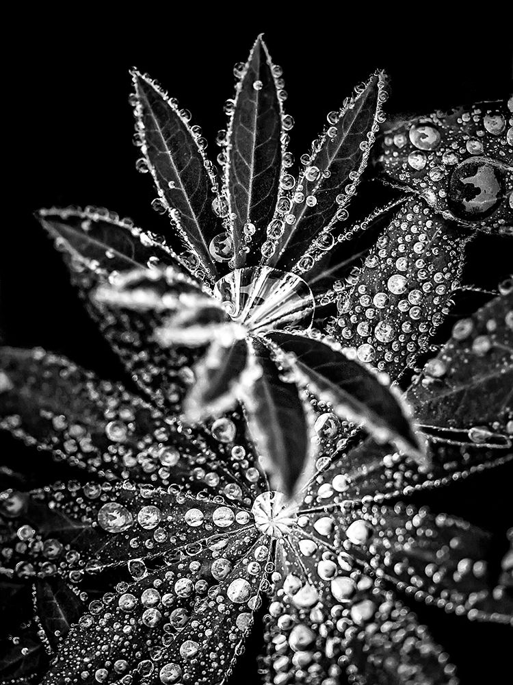 Similar wall art painting: 197373