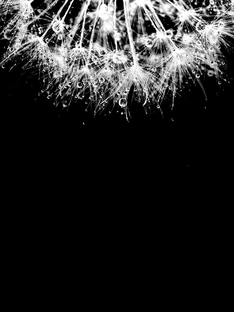 Similar wall art painting: 197374