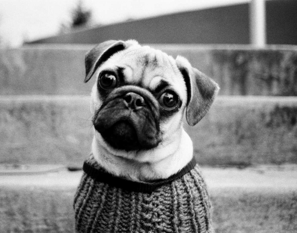 Similar wall art painting: 14975