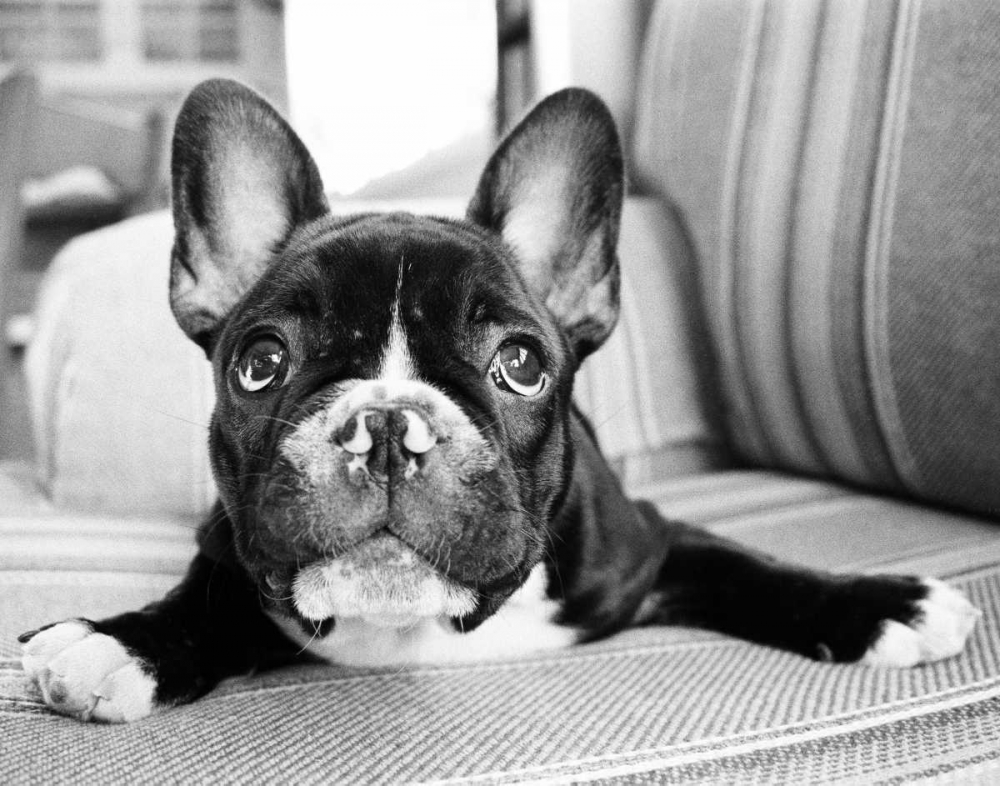 Similar wall art painting: 14977