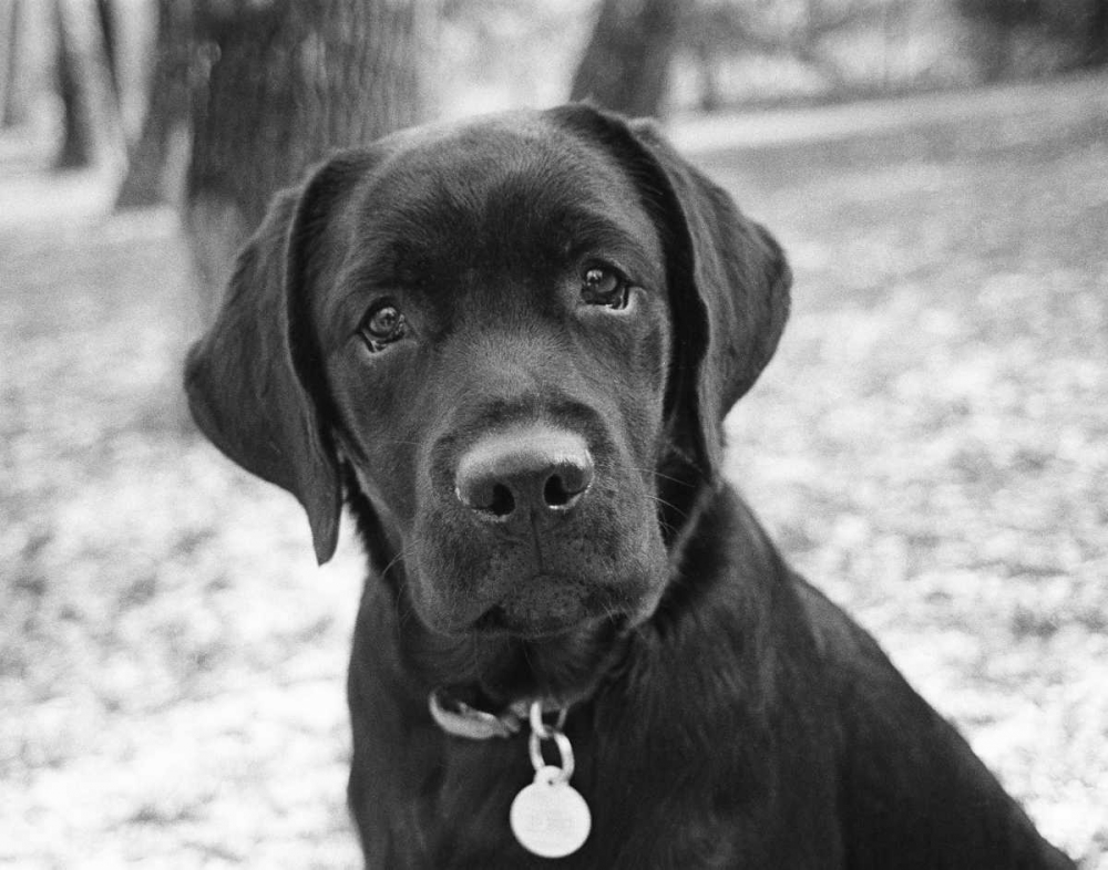 Similar wall art painting: 14979