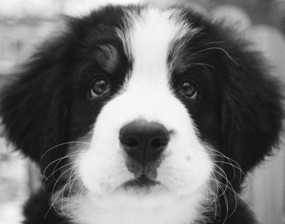 Similar wall art painting: 13612