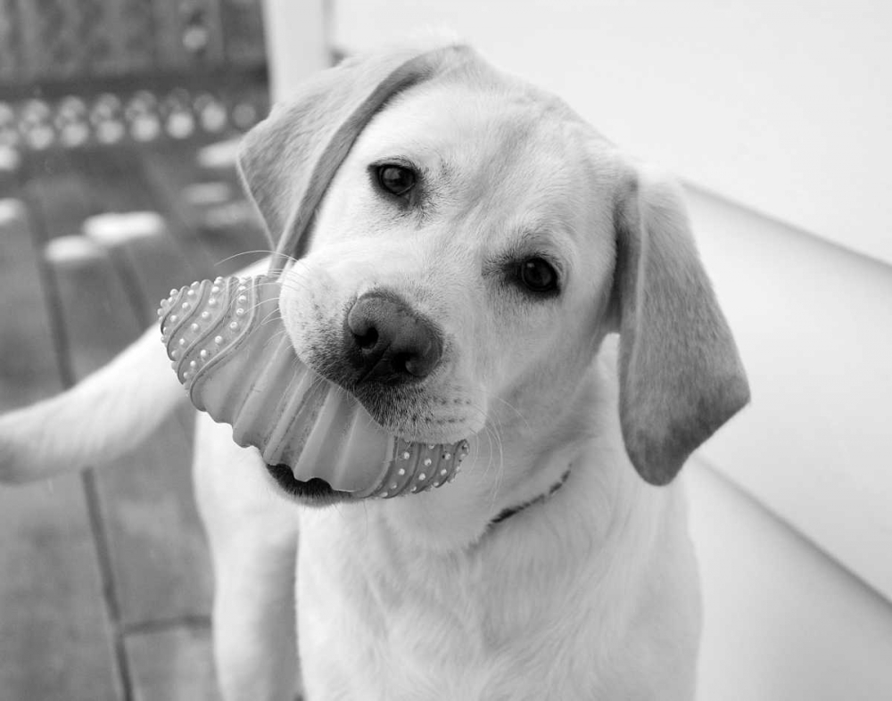 Similar wall art painting: 13614