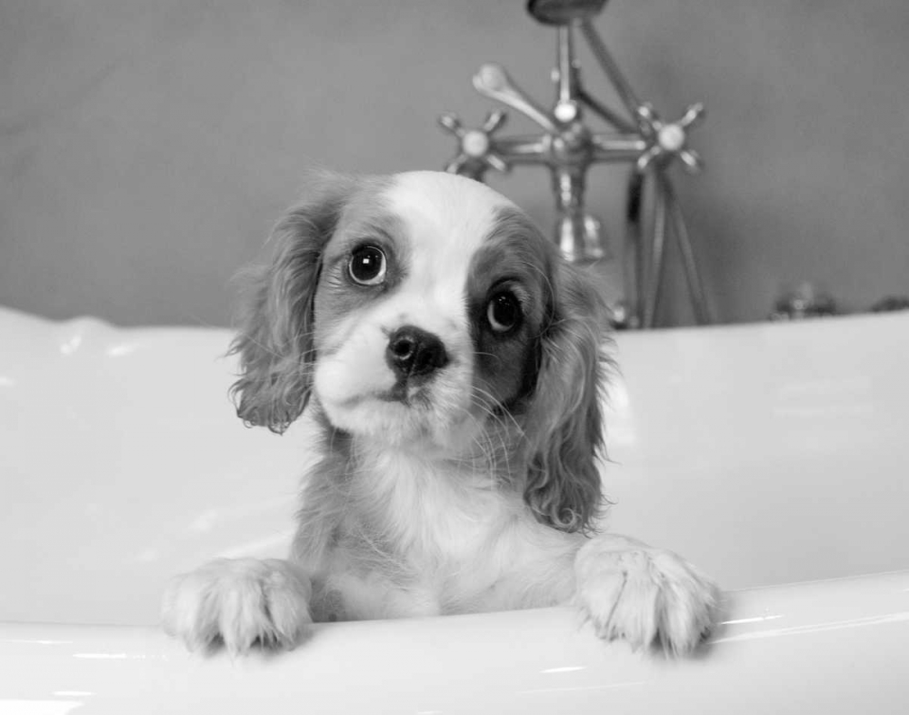 Similar wall art painting: 13617