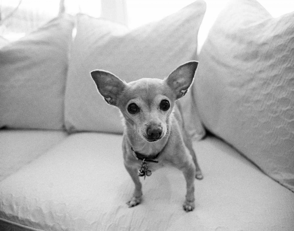 Similar wall art painting: 13621