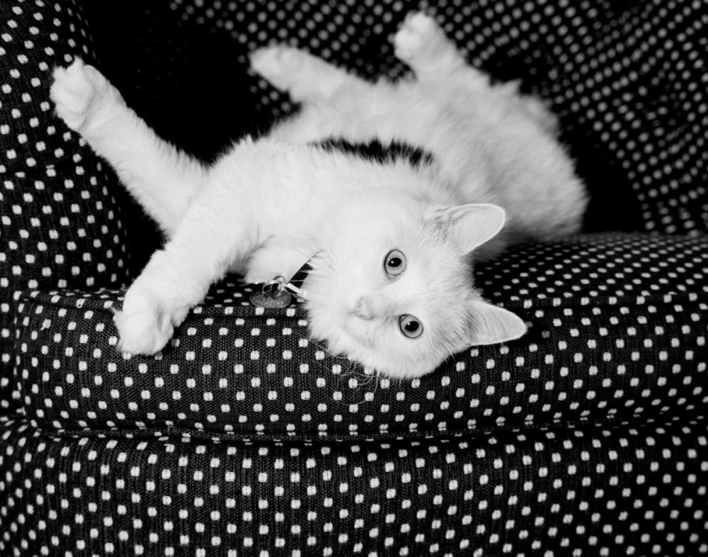 Similar wall art painting: 13613