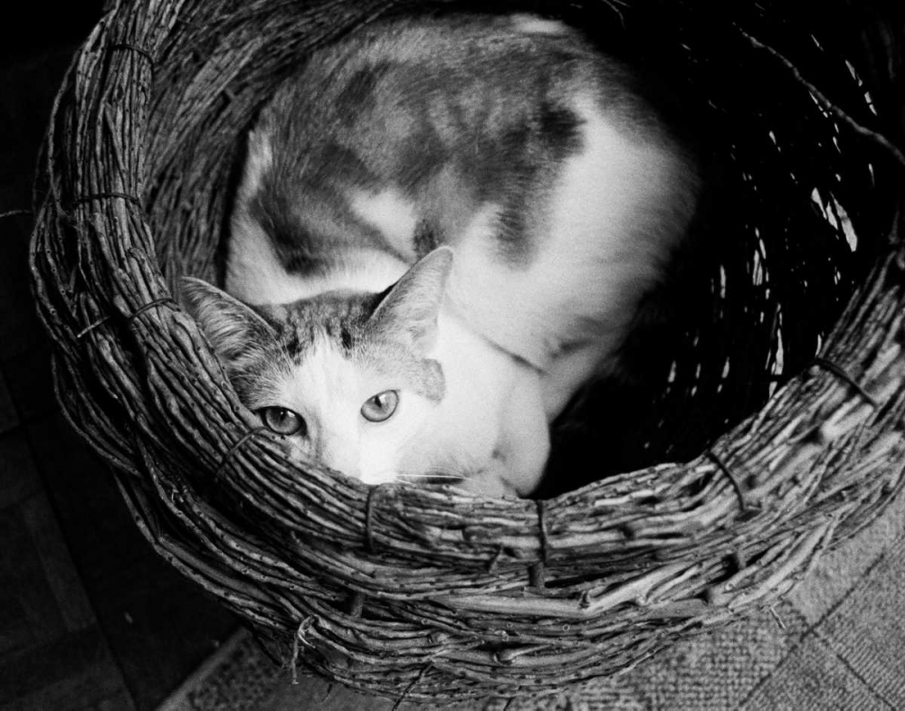 Similar wall art painting: 13619