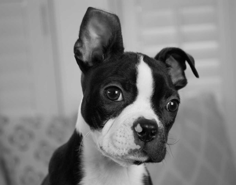 Similar wall art painting: 33036