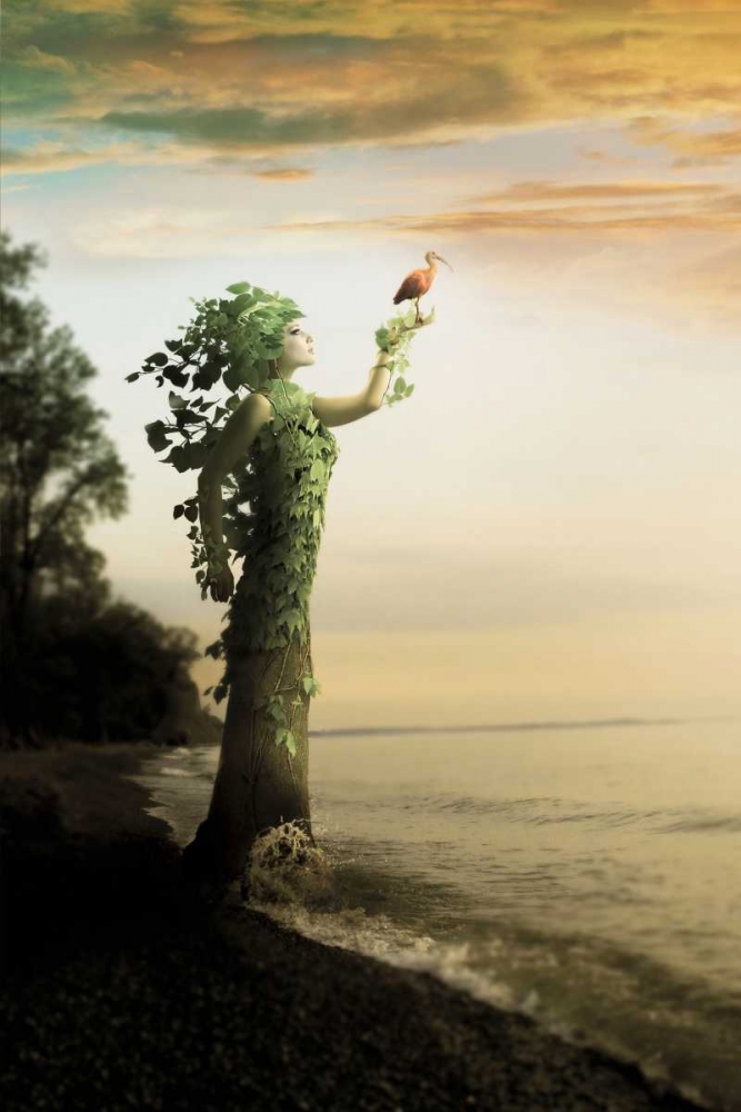 Similar wall art painting: 65392