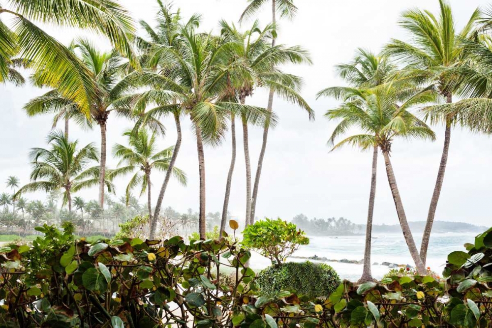 Similar wall art painting: 184499