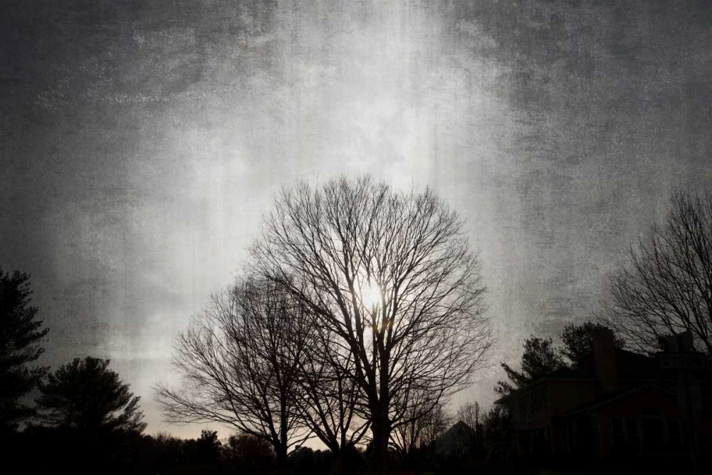 Similar wall art painting: 184502