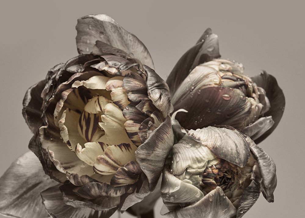 Similar wall art painting: 260640