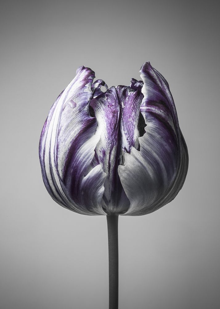 Similar wall art painting: 260641