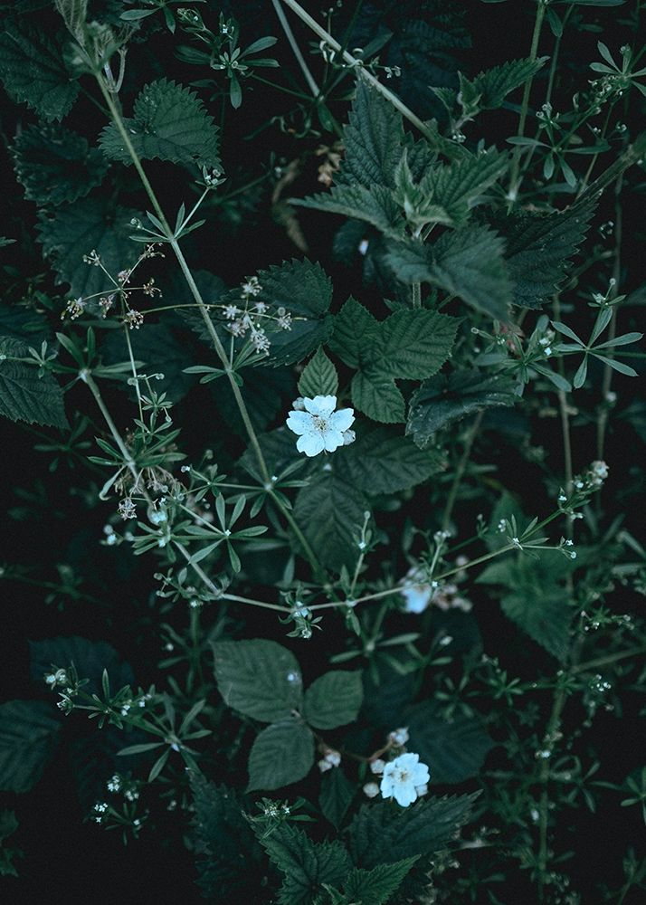 Similar wall art painting: 260752