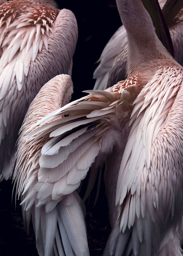 Similar wall art painting: 260728