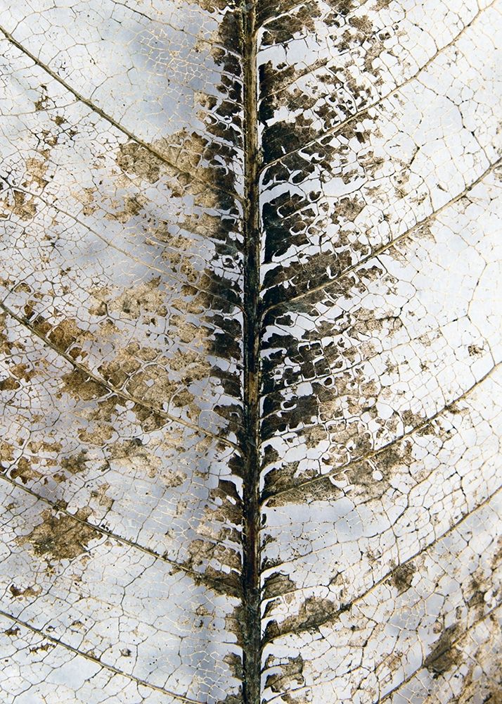 Similar wall art painting: 260697