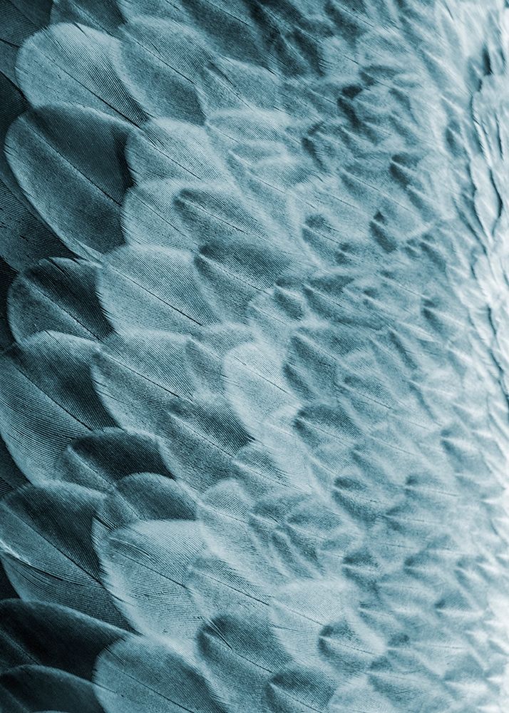 Similar wall art painting: 260915