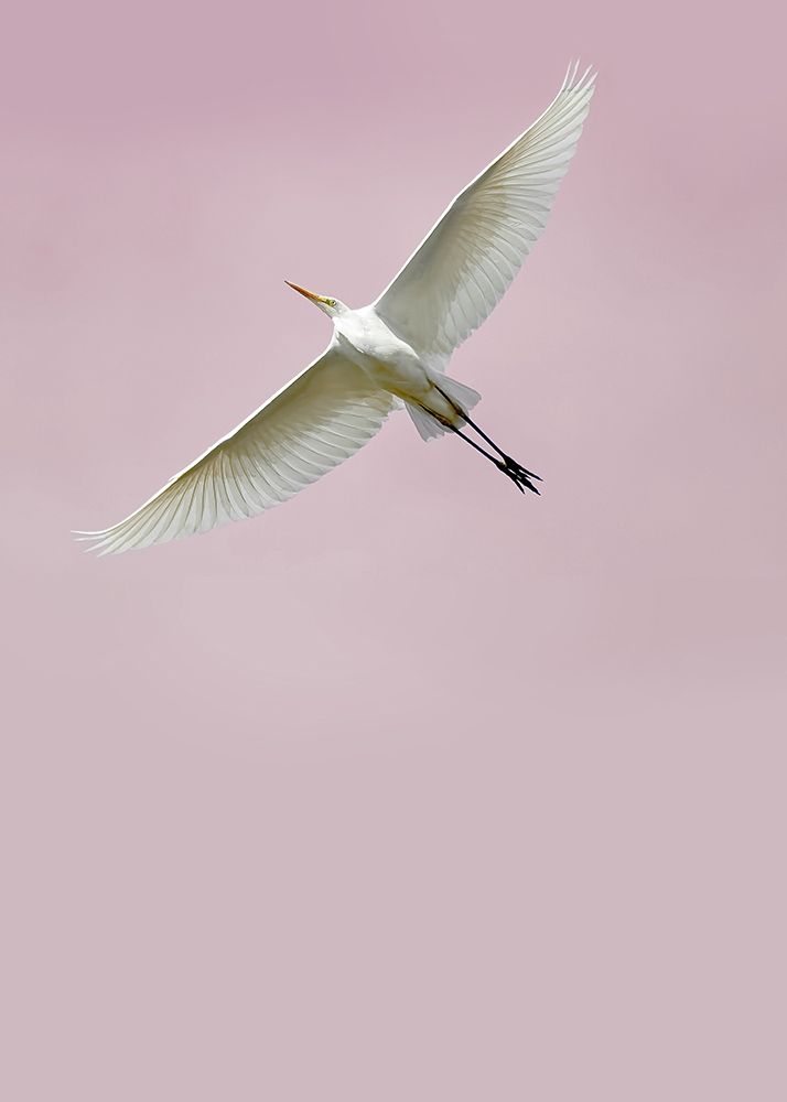 Similar wall art painting: 260777