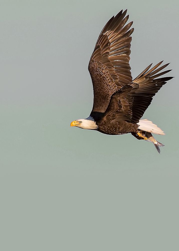 Similar wall art painting: 260778