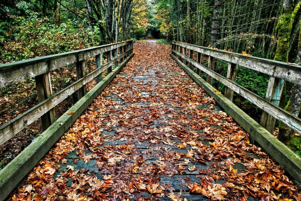 Similar wall art painting: 140054