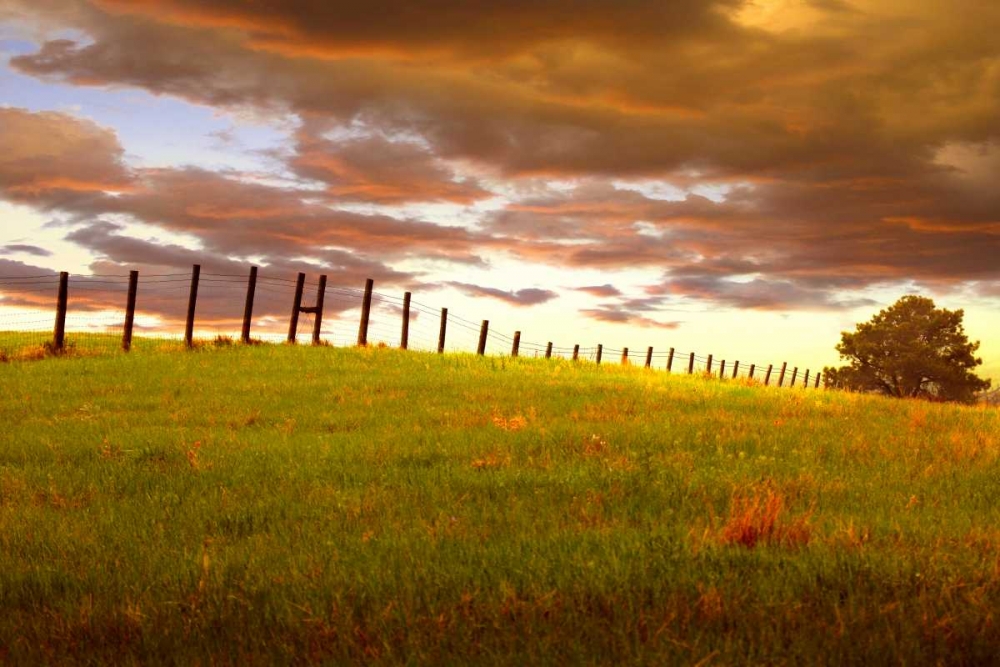 Wall Art Painting id:149752, Name: Fenceline, South Dakota, Artist: ODell, Dale