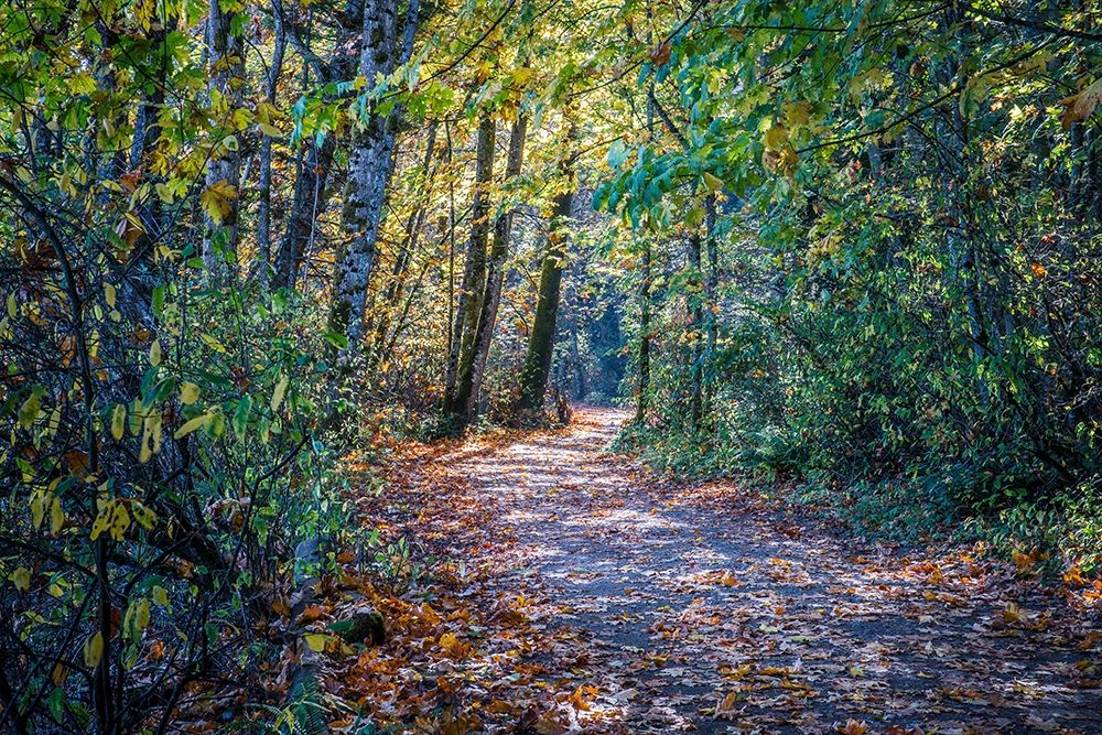 Similar wall art painting: 248838