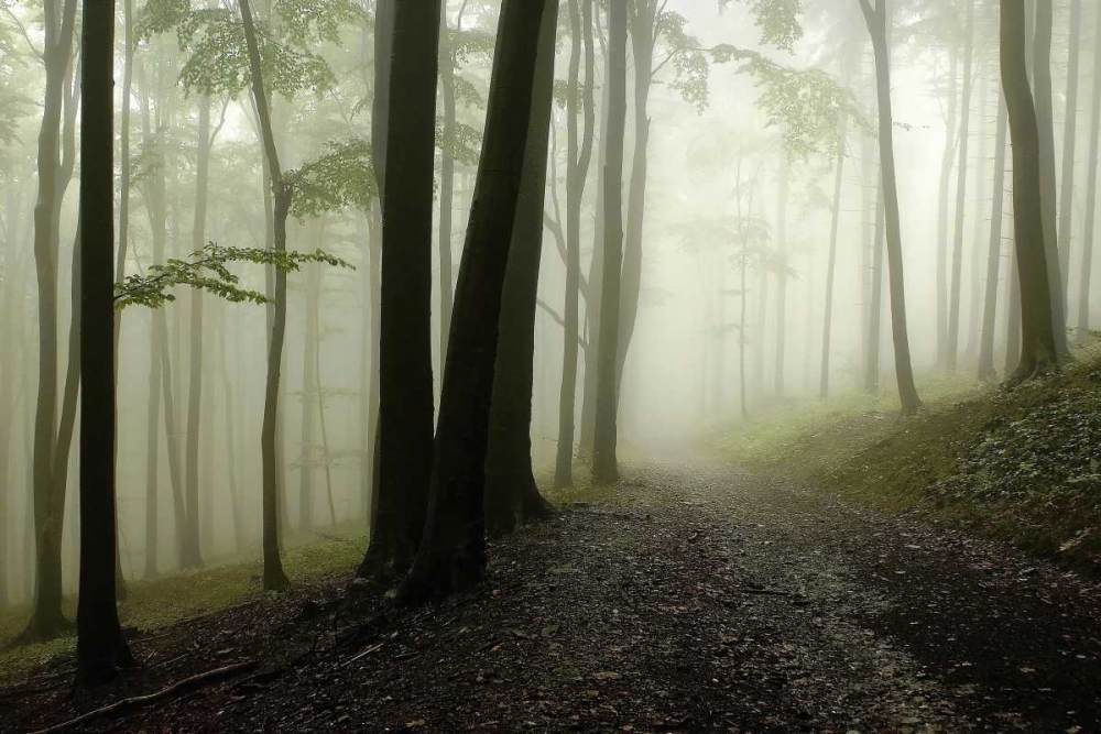 Similar wall art painting: 66029