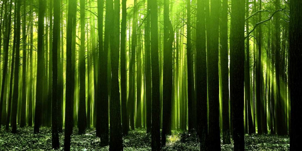 Similar wall art painting: 66252