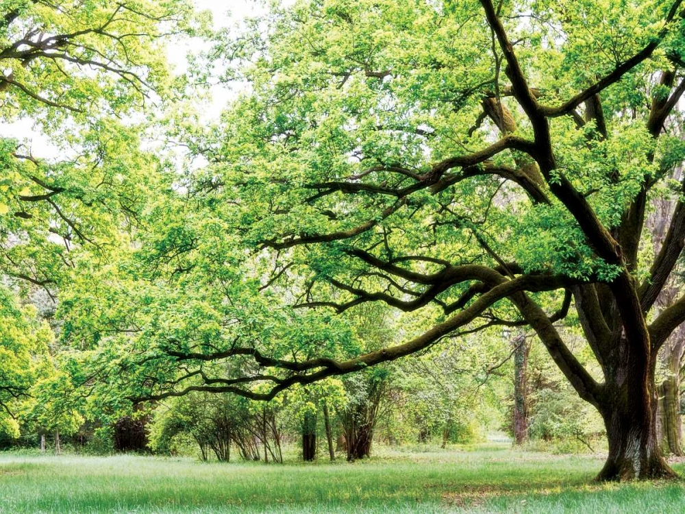 Similar wall art painting: 66073