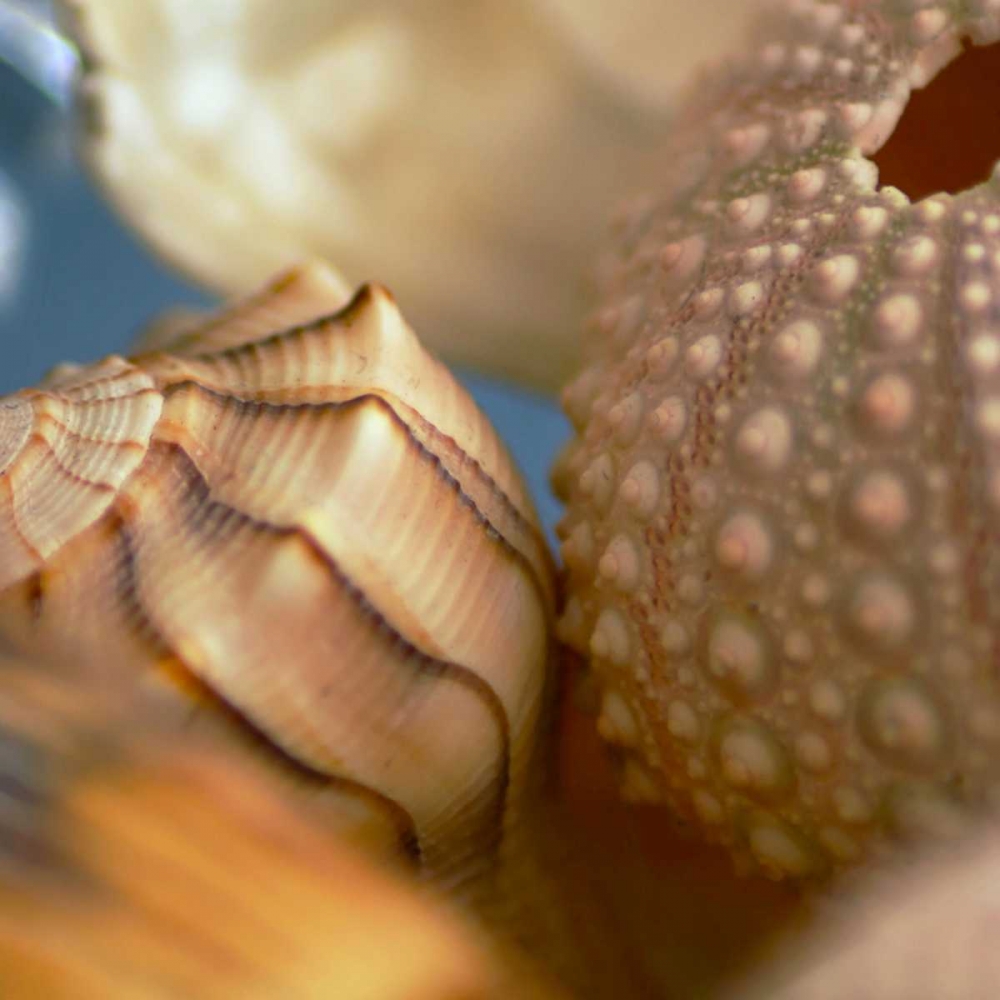 Similar wall art painting: 65815