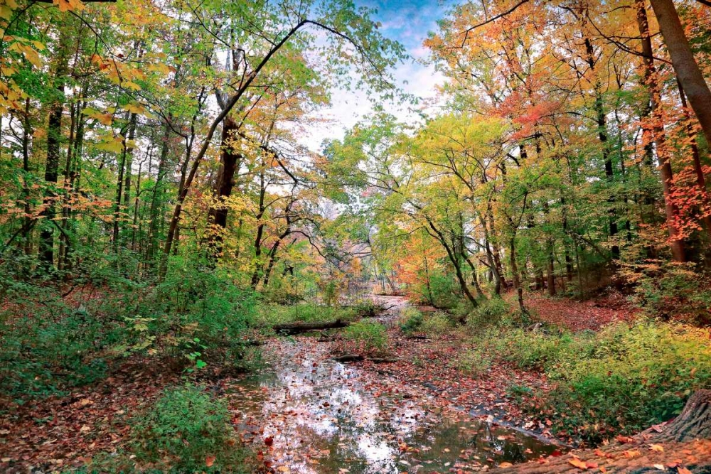 Wall Art Painting id:88362, Name: Autumn at Hopkins Pond, Artist: Rivera, John