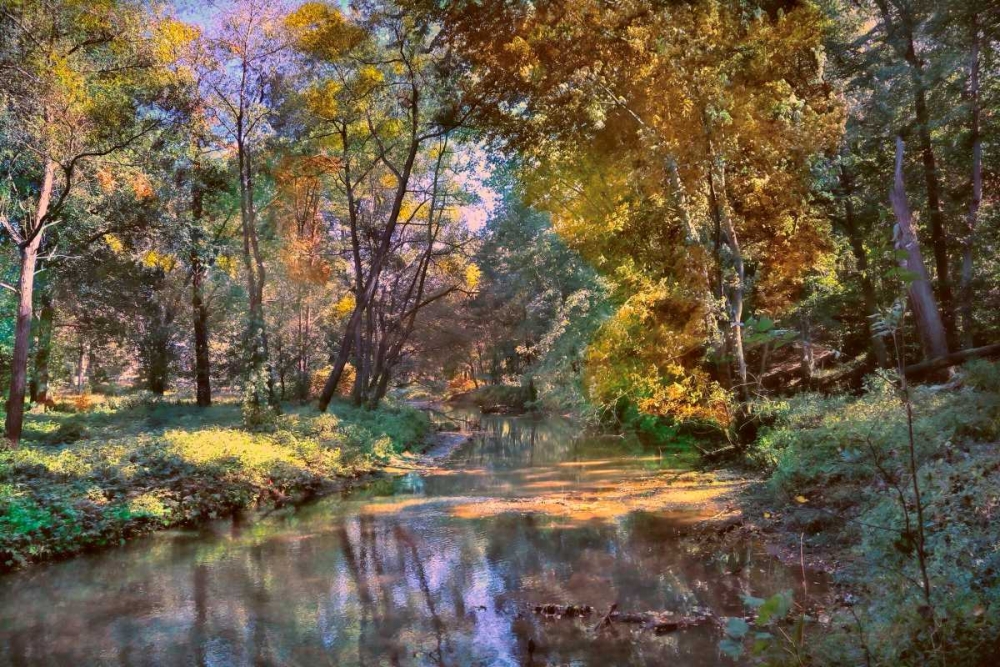 Wall Art Painting id:88364, Name: Autumn in The Afternoon, Artist: Rivera, John